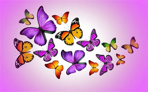 colorful butterfly pictures cartoon|butterfly background cartoon.